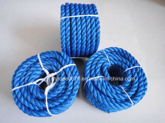 Supply Nylon Rope and Plastic Rope PE Rope