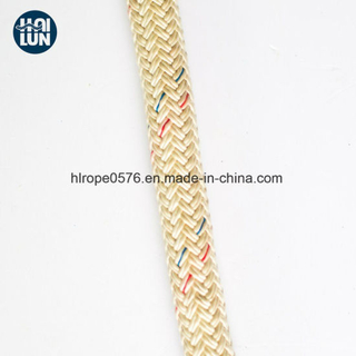 Dynamic Hot Sell Polyamide/Nylon Mooring Rope
